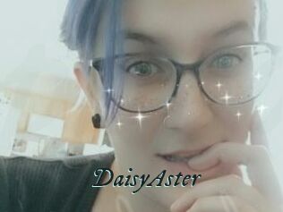 DaisyAster