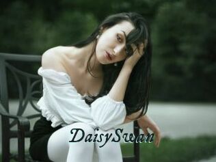 DaisySwan