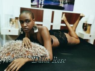 Dalia_Rose