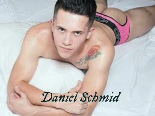 Daniel_Schmid