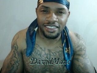 David_Maze