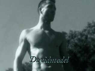 Davidmodel