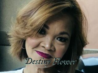 Destiny_Flower Pharaons Porn