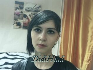 DidiHoldi