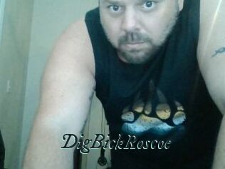 DigBickRoscoe