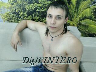 DigWINTERO