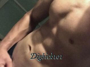 Digbick101