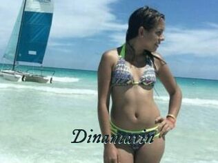 Dinamarin