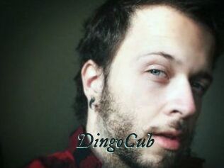DingoCub