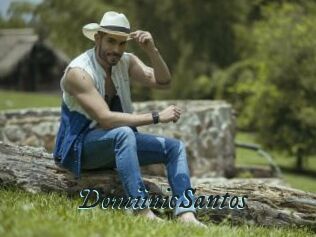DomiinicSantos