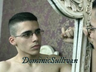 DominicSullivan