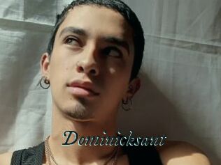 Dominicksant