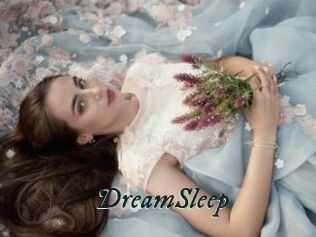 DreamSleep