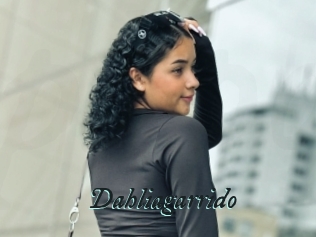 Dahliagarrido