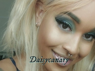 Daisycanary