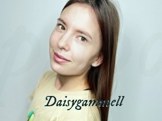 Daisygammell