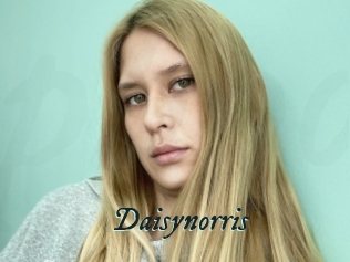 Daisynorris