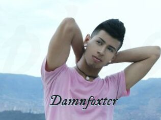Damnfoxter