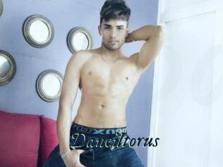 Daneil_torus