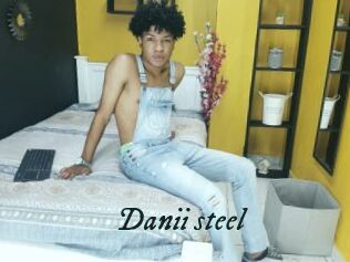 Danii_steel