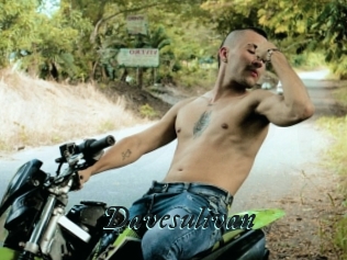 Davesulivan