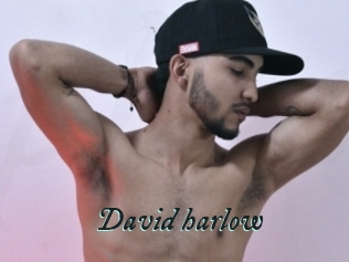 David_harlow