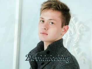 Davidniceking