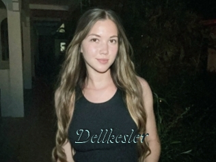 Dellkesler