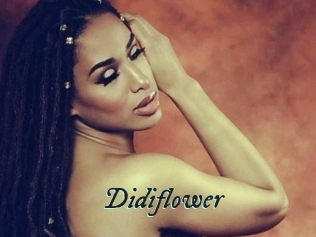 Didiflower