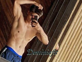 Dominiofit
