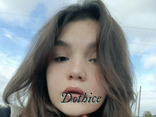 Dothice