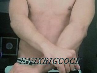 ENIXBIGCOCK