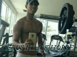 EROS_BLACK_HORSE