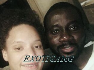 EXOTIGANG