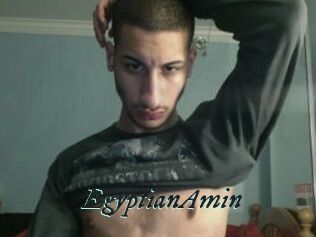 EgyptianAmin