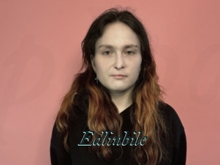 Edlinbile