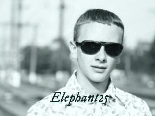Elephant25
