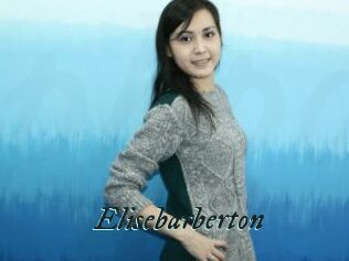 Elisebarberton