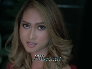 Elisecam