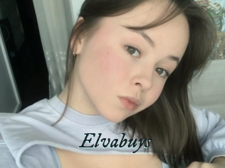 Elvabuys