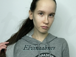Elvinaabner