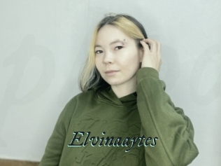 Elvinaaytes