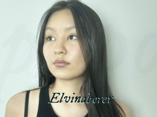 Elvinaborer