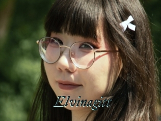 Elvinagitt