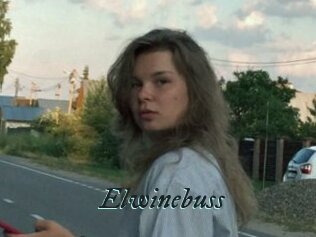 Elwinebuss
