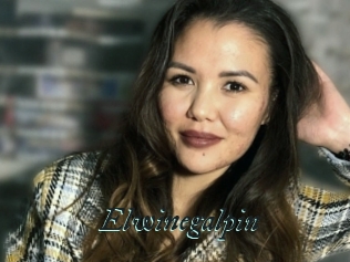 Elwinegalpin