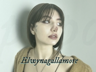 Elwynagallamore