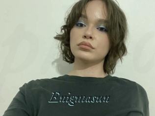 Enigmasun