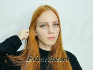 Erlenechesser