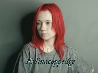 Erlinacoppedge